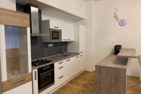 Apartman Centrum 302, Aussig